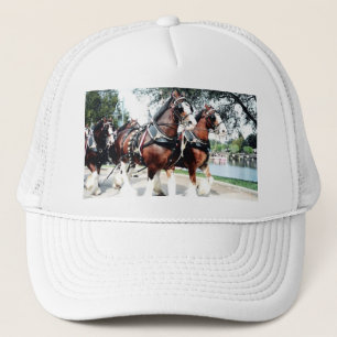 Clydesdale paarden trucker pet