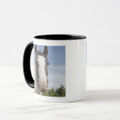 Clydesdale paardenportret mok (Voorkant links)