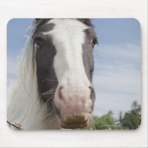 Clydesdale paardenportret muismat