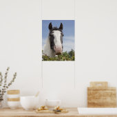 Clydesdale paardenportret poster (Keuken)