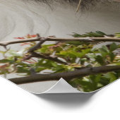 Clydesdale paardenportret poster (Hoek)