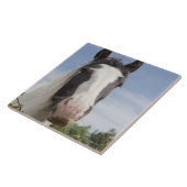 Clydesdale paardenportret tegeltje (Zijkant)