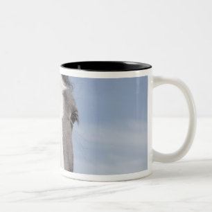 Clydesdale paardenportret tweekleurige koffiemok
