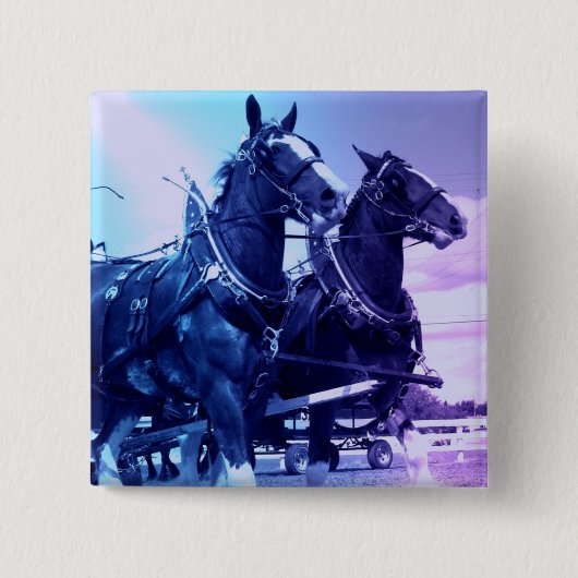 Clydesdale Pin Vierkante Button 5,1 Cm (Voorkant)