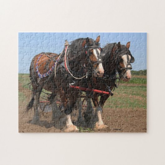 Clydesdale ploegpaarden. legpuzzel (Horizontaal)