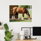 Clydesdale Poster (Thuiskantoor)