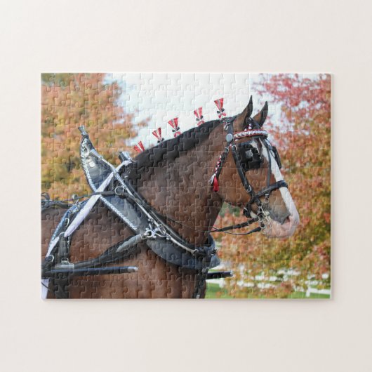 Clydesdale puzzel (Horizontaal)