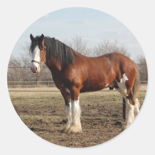 clydesdale ronde sticker (Voorkant)