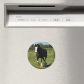 Clydesdale Running Magneet (Insitu (Vaatwasser))