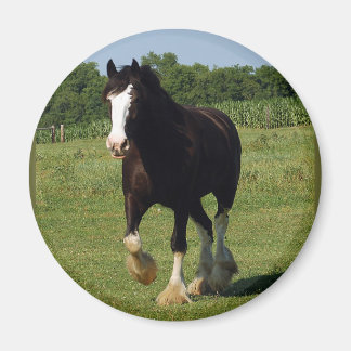 Clydesdale Running Magneet