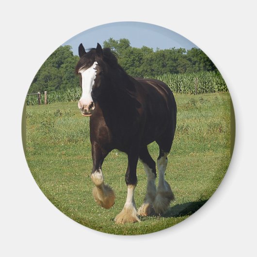 Clydesdale Running Magneet (Voorkant)