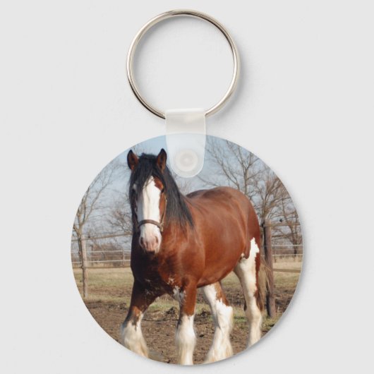Clydesdale sleutelhanger (Voorkant)