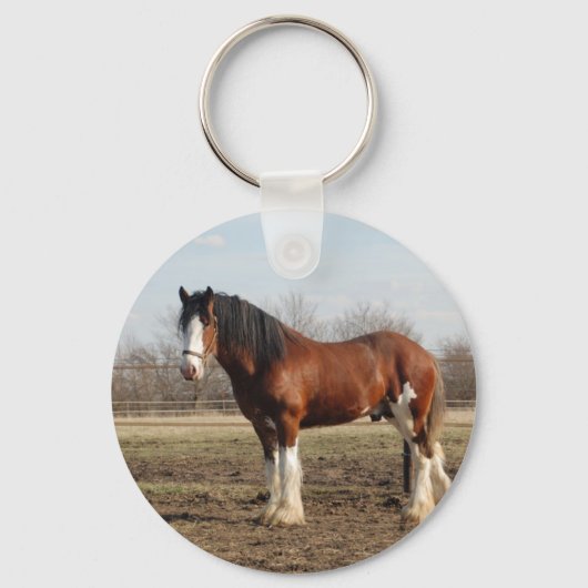 clydesdale sleutelhanger (Voorkant)