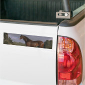 Clydesdale Stallion (Thoroughbred Horse) (Dier) Bumpersticker (Op Truck)