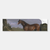 Clydesdale Stallion (Thoroughbred Horse) (Dier) Bumpersticker (Voorkant)