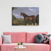 Clydesdale Stallion (Thoroughbred Horse) (Dier) Canvas Afdruk (Insitu (Woonkamer))
