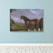 Clydesdale Stallion (Thoroughbred Horse) (Dier) Canvas Afdruk (Insitu (Houten vloer))