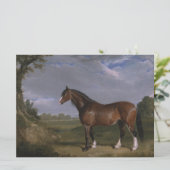 Clydesdale Stallion (Thoroughbred Horse) (Dier) Kaart (Staand voorkant)