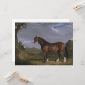 Clydesdale Stallion (Thoroughbred Horse) (Dier) Kaart (Voorkant / Achterkant in situ)