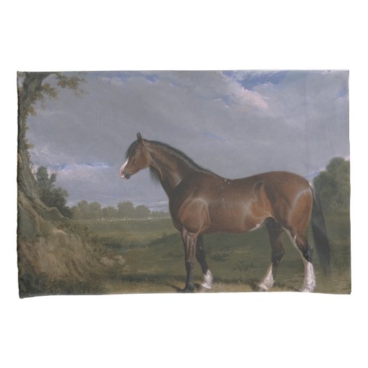 Clydesdale Stallion (Thoroughbred Horse) (Dier) Kussensloop (Voorkant-Rechts)