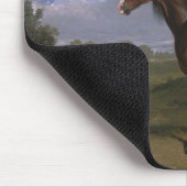 Clydesdale Stallion (Thoroughbred Horse) (Dier) Muismat (Hoek)