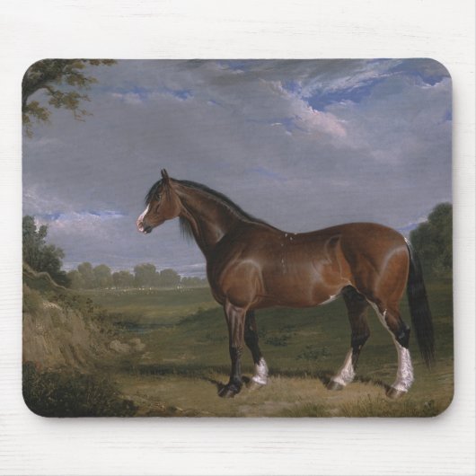 Clydesdale Stallion (Thoroughbred Horse) (Dier) Muismat (Voorkant)