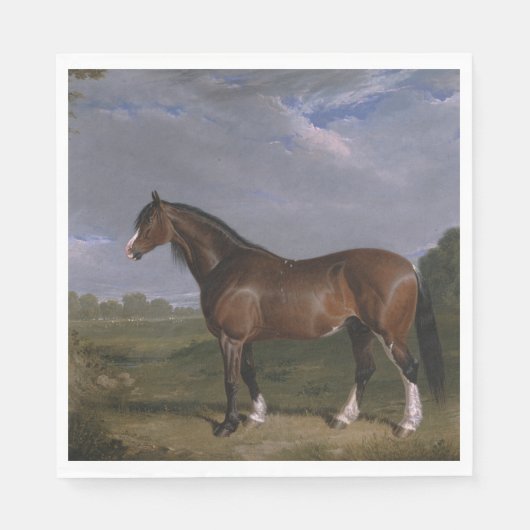 Clydesdale Stallion (Thoroughbred Horse) (Dier) Servet (Voorkant)