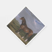 Clydesdale Stallion (Thoroughbred Horse) (Dier) Servet (Hoek)