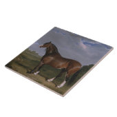 Clydesdale Stallion (Thoroughbred Horse) (Dier) Tegeltje (Zijkant)