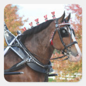 Clydesdale sticker (Voorkant)