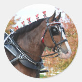 Clydesdale Sticker (Voorkant)