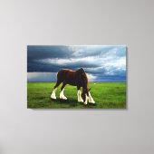 Clydesdale Storm Canvas Afdruk (Voorkant)