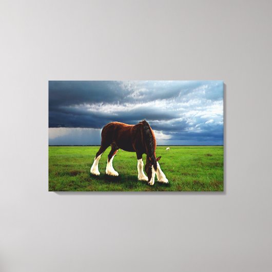 Clydesdale Storm Canvas Afdruk (Voorkant)