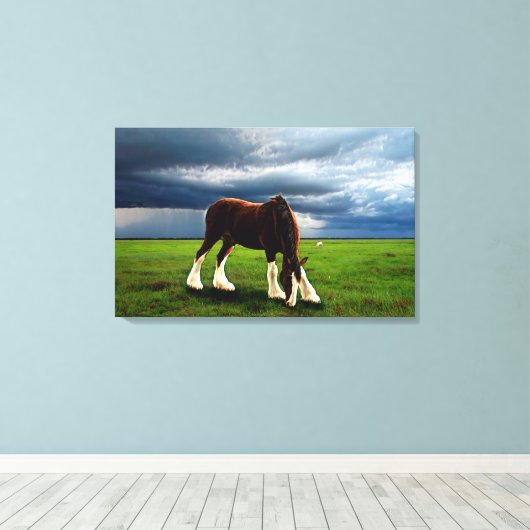 Clydesdale Storm Canvas Afdruk (Insitu (Houten vloer))