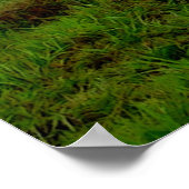 Clydesdale Storm Poster (Hoek)