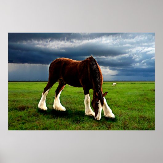 Clydesdale Storm Poster (Voorkant)