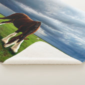 Clydesdale Storm Sherpa Deken (3/4)