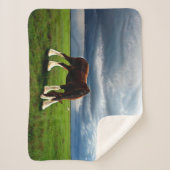 Clydesdale Storm Sherpa Deken (Voorkant)