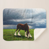Clydesdale Storm Sherpa Deken (Voorkant (horizontaal))
