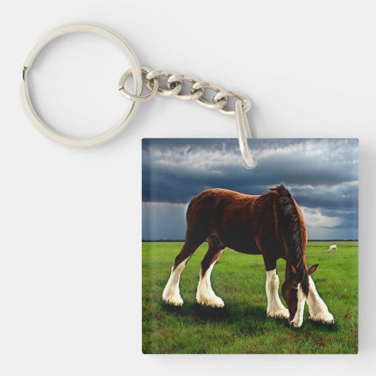 Clydesdale Storm Sleutelhanger (Voorkant)