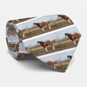 clydesdale stropdas (Opgerold)