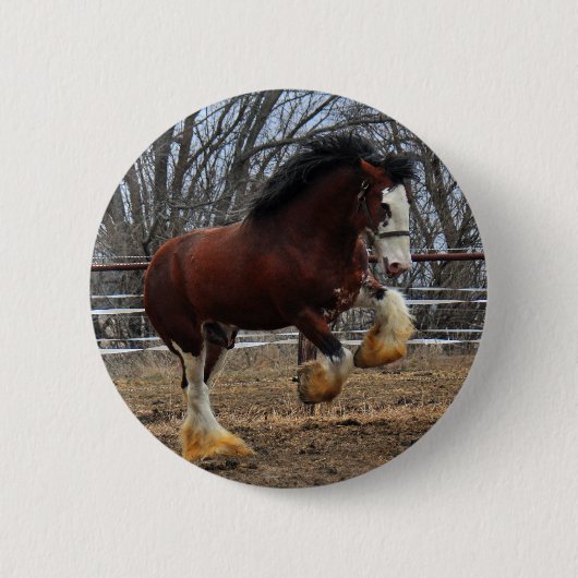 Clydesdale stud colt run ronde button 5,7 cm (Voorkant)