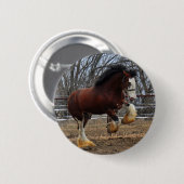 Clydesdale stud colt run ronde button 5,7 cm (Voorkant /achterkant)