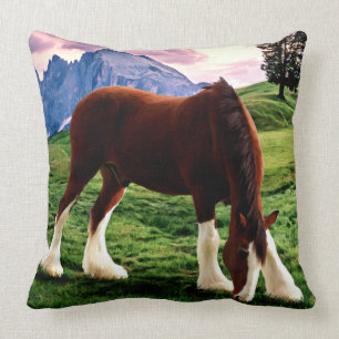 Clydesdale Sunset Kussen