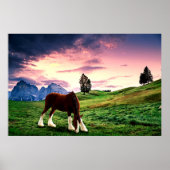 Clydesdale Sunset Poster (Voorkant)