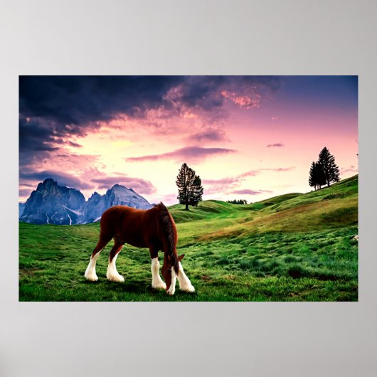 Clydesdale Sunset Poster (Voorkant)
