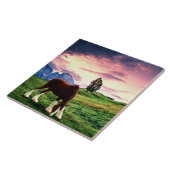 Clydesdale Sunset Tegeltje (Zijkant)