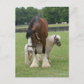 Clydesdale terwijl hij op miniatuurbasis staat briefkaart (Voorkant)