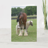 Clydesdale terwijl hij op miniatuurbasis staat kaart (Voorkant)