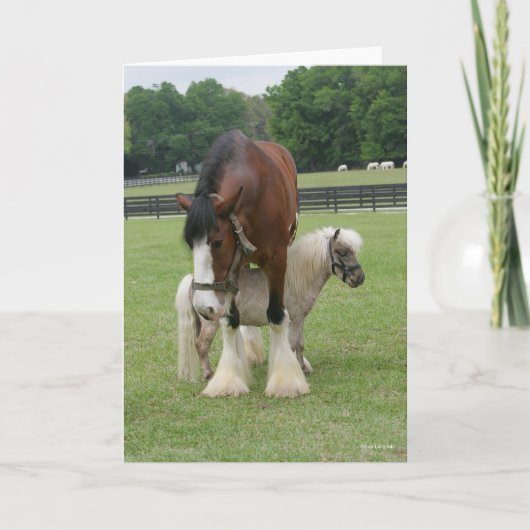 Clydesdale terwijl hij op miniatuurbasis staat kaart (Voorkant)